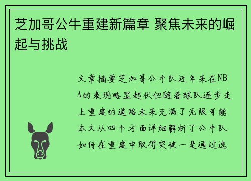 芝加哥公牛重建新篇章 聚焦未来的崛起与挑战